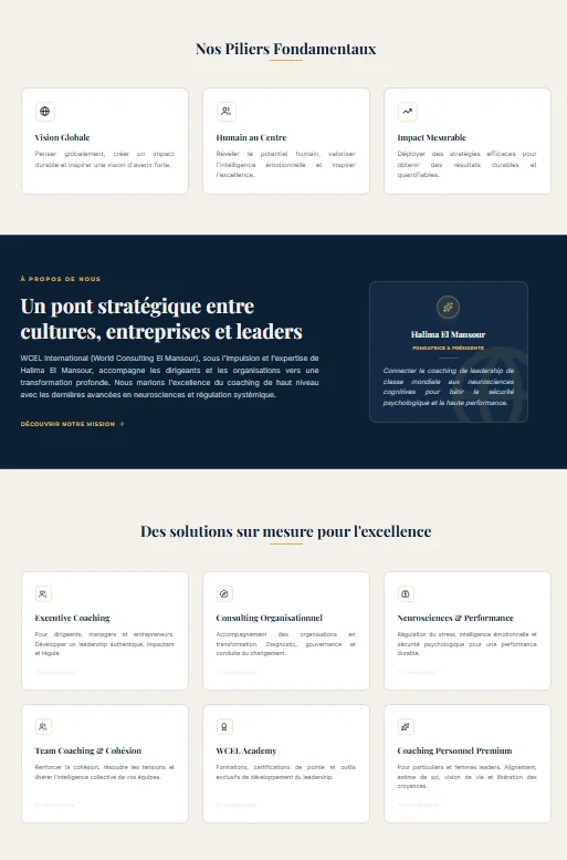 Projet Coaching Wcel Mansour réalisé par WebHive - Capture 2